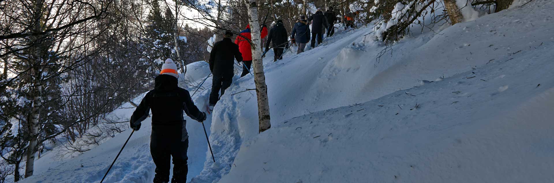 Hôtel à Soldeu avec excursions en raquettes de neige